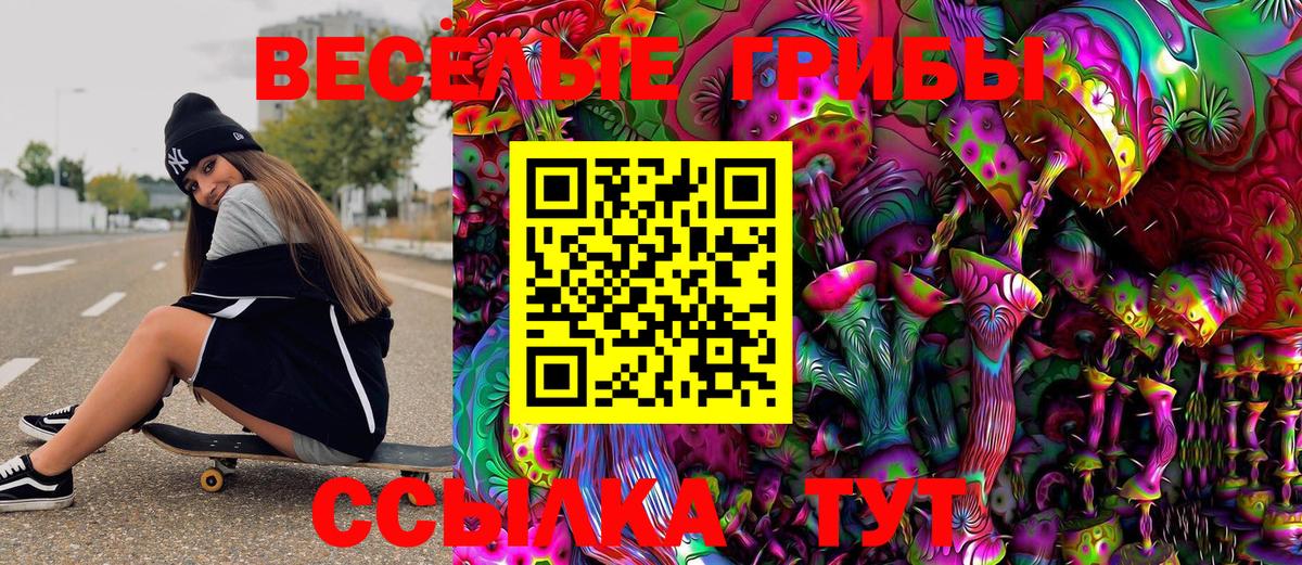 Галлюциногенные грибы Magic Shrooms  Вход с VPN  Псилоцибиновые грибы Psilocybe  Дзержинск 