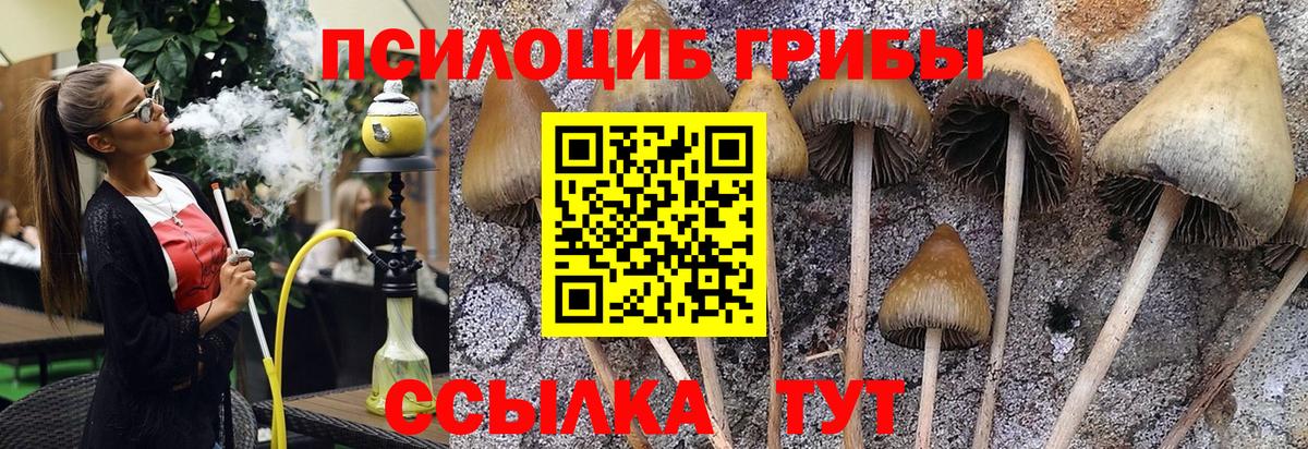 Кодеин Дзержинск